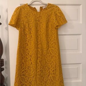LOFT Mustard Lace Shift Dress